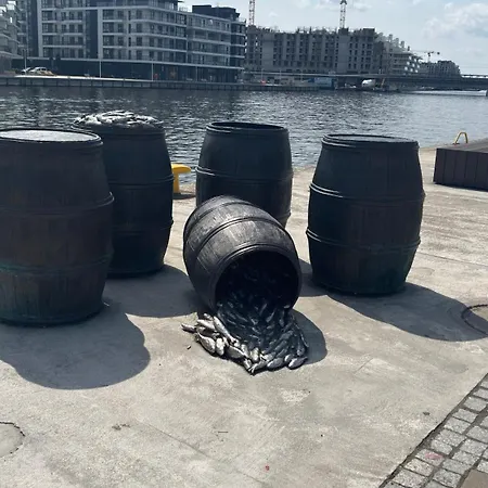 Nad Odra - Z Klimatyzacja, Parking W Cenie, Parking Included Apartamento Estetino