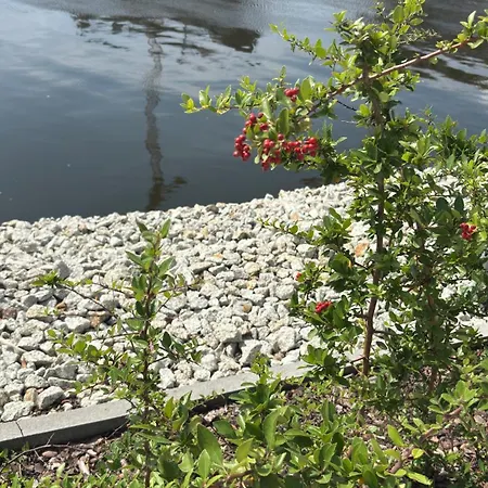 Nad Odra - Z Klimatyzacja, Parking W Cenie, Parking Included * Estetino