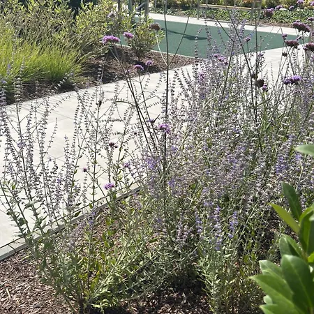 Apartamento Nad Odra - Z Klimatyzacja, Parking W Cenie, Parking Included