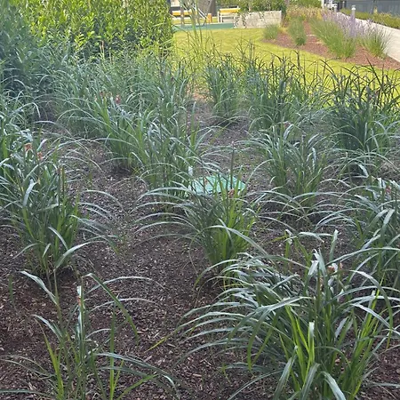 Nad Odra - Z Klimatyzacja, Parking W Cenie, Parking Included * Estetino